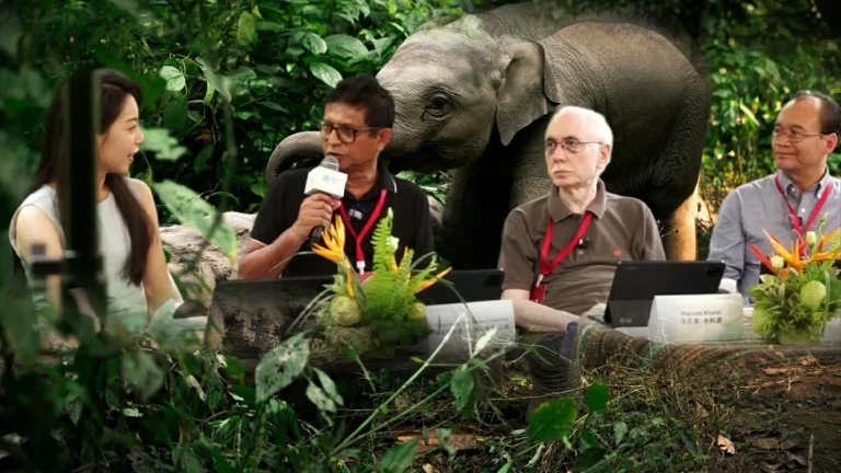 Sri Lankan Delegation Joins Asian Elephant Conservation Program in Xishuangbanna